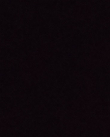 我在异世界和无敌养母的奇妙冒险