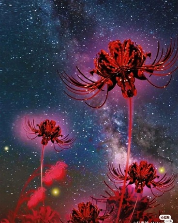 死神她姓櫻雪羽