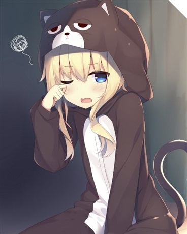 猫咪万事屋