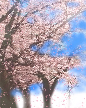 鸽王的整活茶室