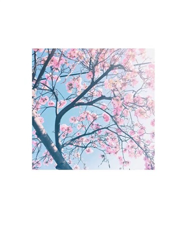 不想修仙想学习