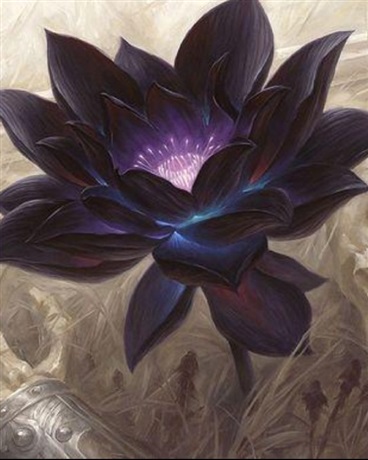 无法得到爱意的我