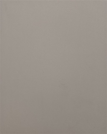 小兵的传奇之旅
