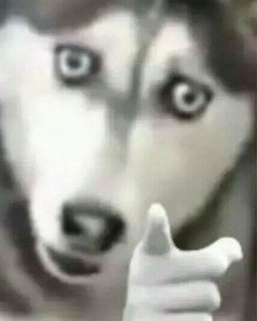翰林的奇妙冒险