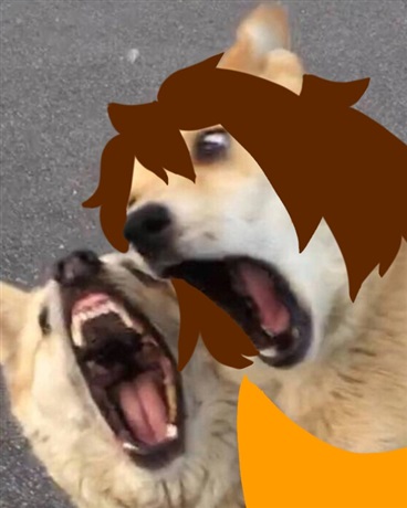 我成为了还愿者