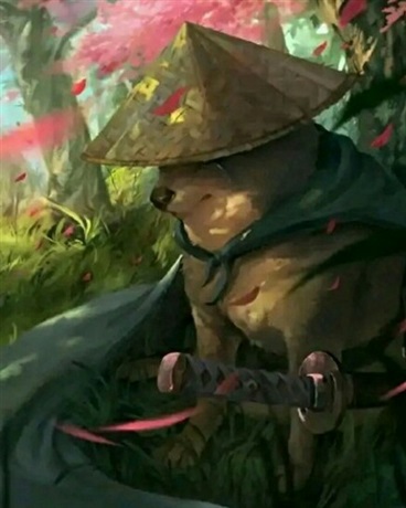 我们宿舍只想要简单的快乐