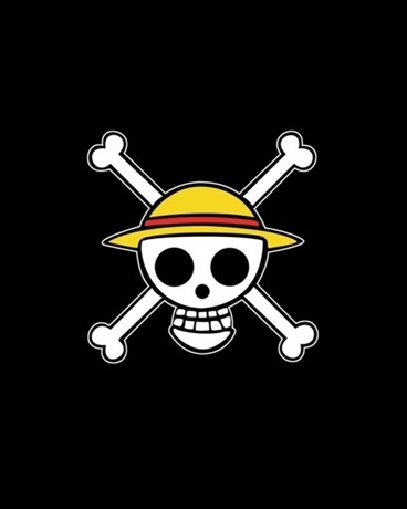 身为决斗者的我却当起了海贼