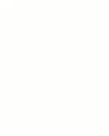 训练师的奇妙冒险