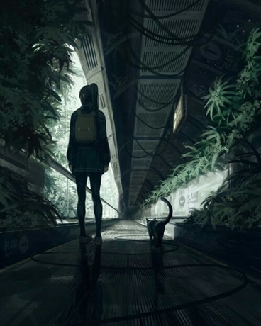 穿越了可我只想回家