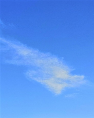 野心家的我讨厌反转