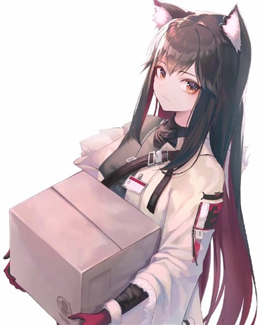 关于我养的猫突然跟我讨封这件事