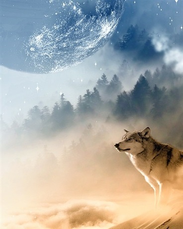 星空探索牺牲者