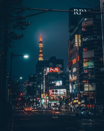 猎人小姐的意乱情迷史