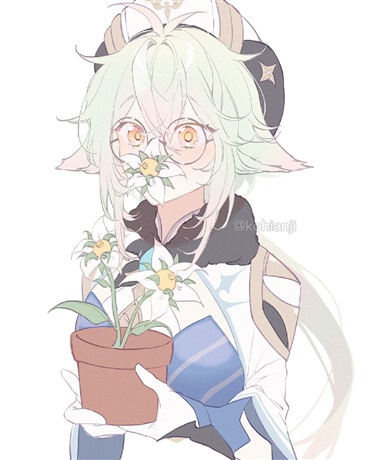 来到名为提瓦特的大陆