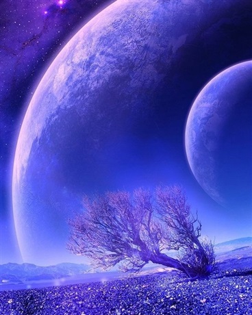 关于奈曦的日常生活