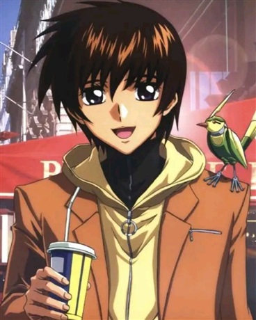 高达，我是基拉哈雷