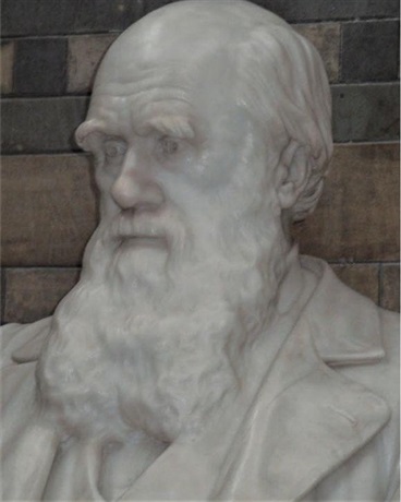 末世下的达尔文主义