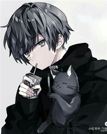 陈檀的骑士之旅