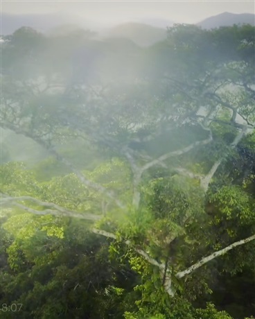 灵气消失的修仙世界