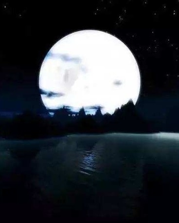 白月光与彬彬正