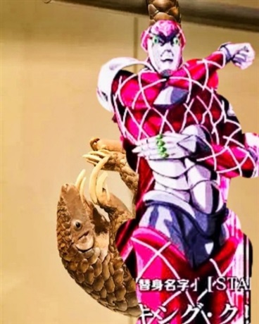 替身使者穿山甲