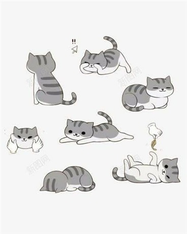 猫大王