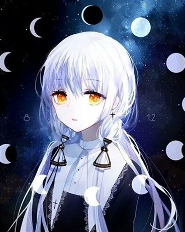 我和白发大小姐的奇妙冒险