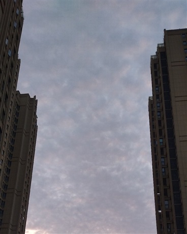 与狗链接灵魂该怎么办