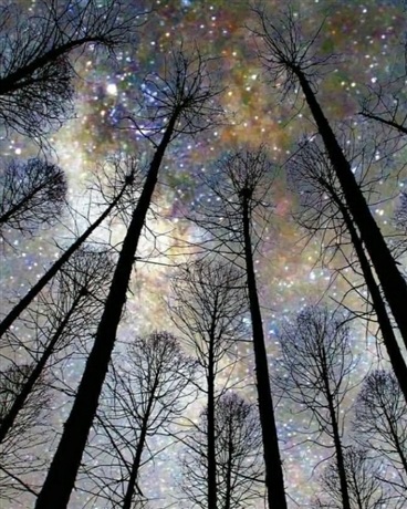 寒封与逃离之我竟在末日背行