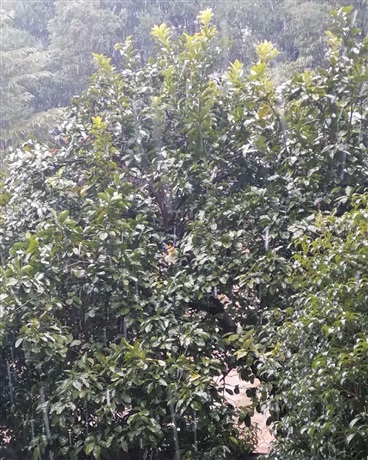 神棍带妻的无限穿越