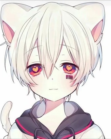 关于我穿越变成猫了啦