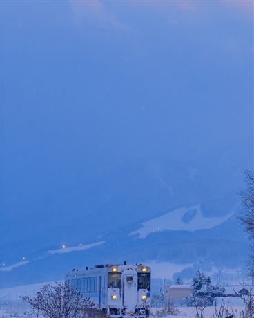 夕阳下的雪花
