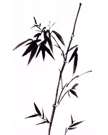 没有人知道的故事