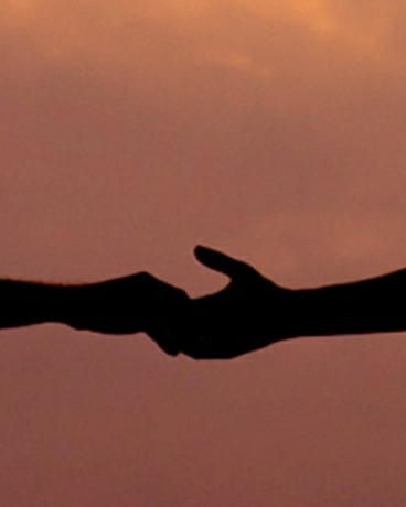 半世寒骞半世仇