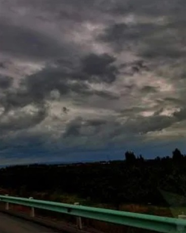 怪诞的日常生活手札