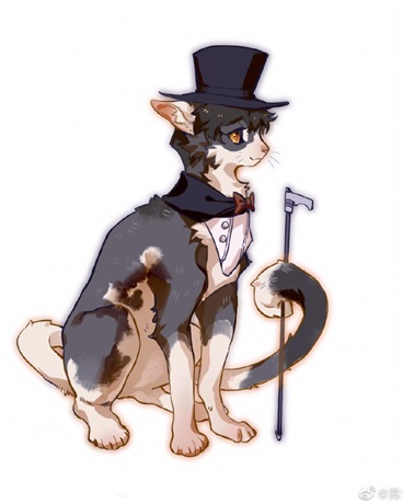 猫猫