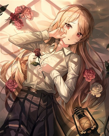 假面骑士狮王立案