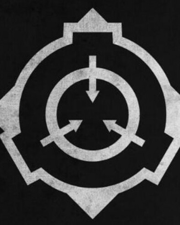 我在基金会工作