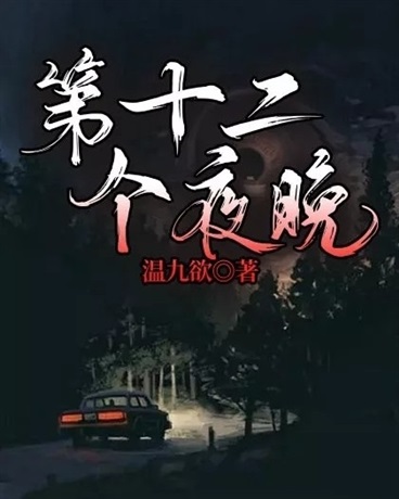 第十二个夜晚