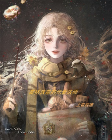 霍格沃兹的元素法师