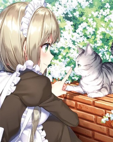 转生成猫，每天被吸