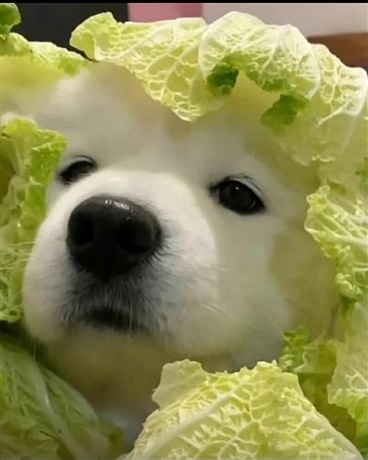 我才不是诡异！