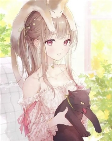 我在幻界寻找答案