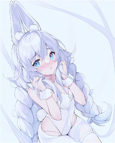 兔子的柴刀后宫