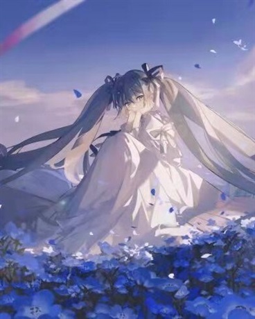 我绝对不做R级卡