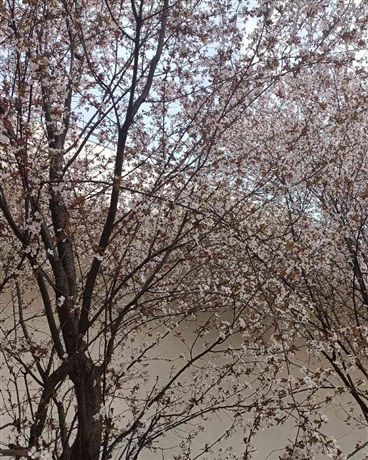 终结于幻夜QLXLSL