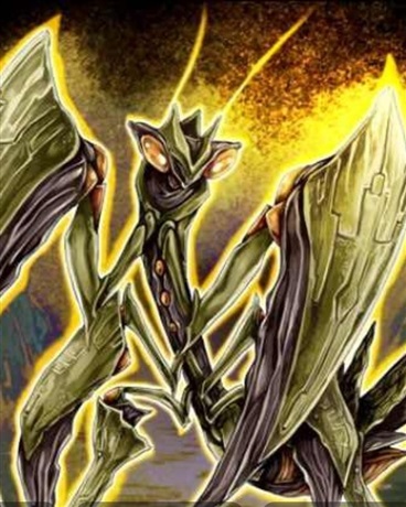 御妖时代：谁说虫子不陪仰望星空