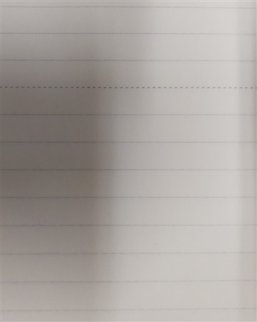 是我向雪许的愿