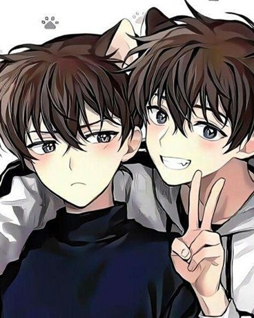 柯南世界的小猫