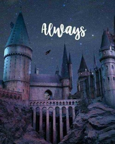 哈利破特：格林德沃之子的日常